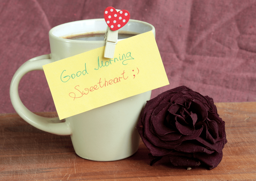 good morning images with rose flowers free download