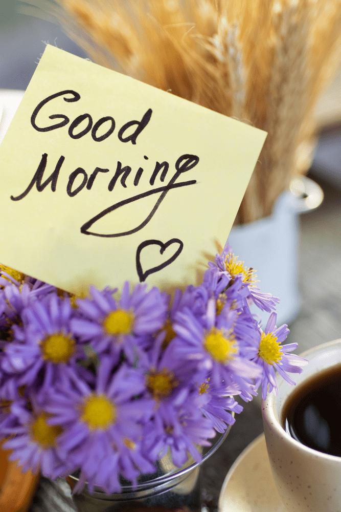 images of flowers with good morning wishes
