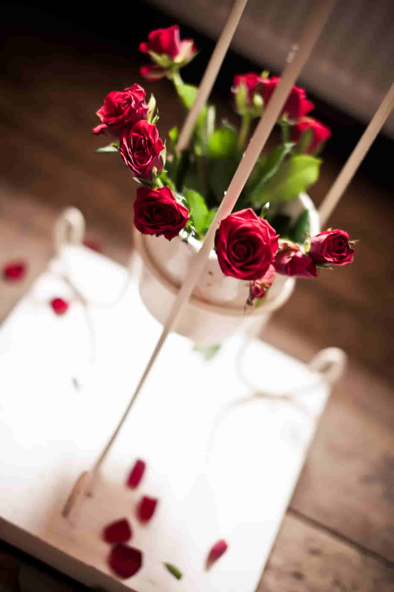 images of red rose bouquets