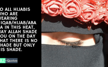 naqab pic