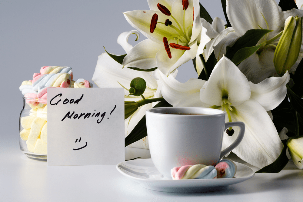 good morning flowers images free download